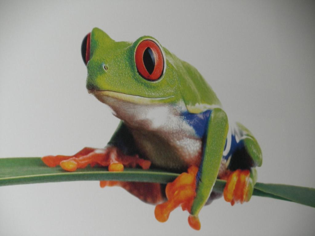 Appartement Cecile พอทสดัม ภายนอก รูปภาพ
